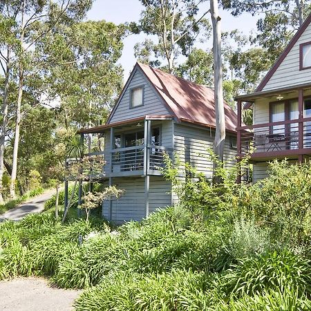 Great Ocean Road Cottages Lorne Esterno foto