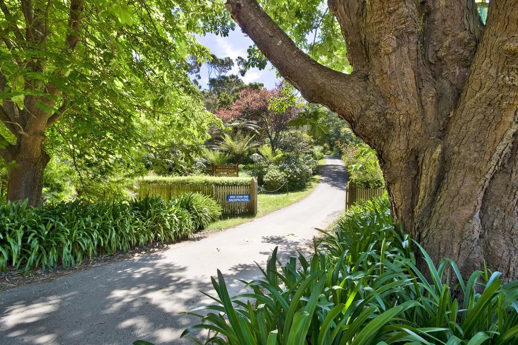 Great Ocean Road Cottages Lorne Esterno foto